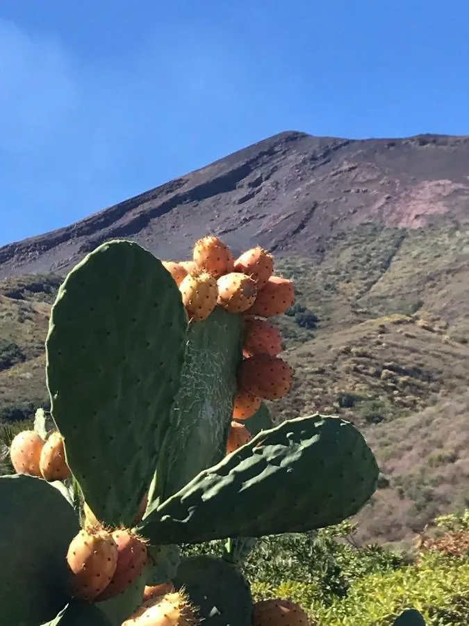 Il Sassolino Stromboli Casa vacanze